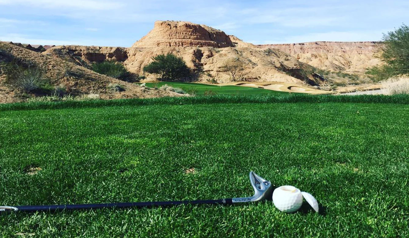 Golf Ball Shots®